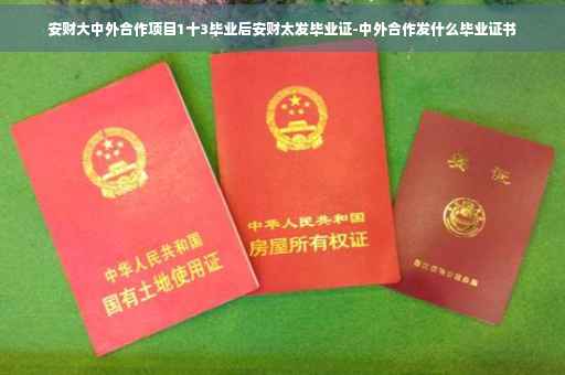 安财大中外合作项目1十3毕业后安财太发毕业证-中外合作发什么毕业证书