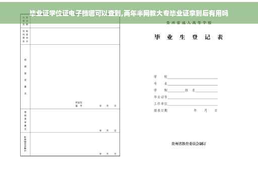 毕业证学位证电子档哪可以查到,两年半网教大专毕业证拿到后有用吗