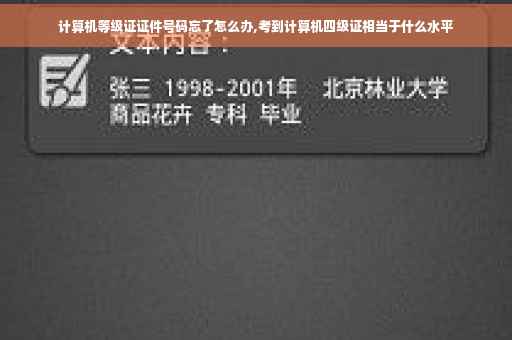 计算机等级证证件号码忘了怎么办,考到计算机四级证相当于什么水平