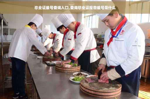 毕业证编号查询入口,查询毕业证报告编号是什么