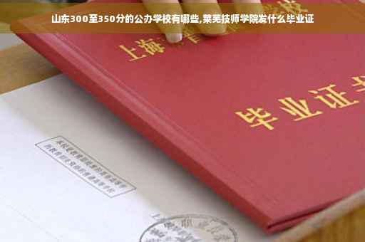 山东300至350分的公办学校有哪些,莱芜技师学院发什么毕业证