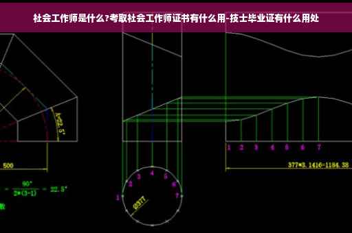 社会工作师是什么?考取社会工作师证书有什么用-技士毕业证有什么用处