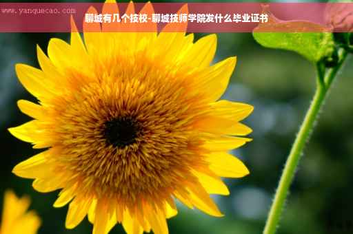聊城有几个技校-聊城技师学院发什么毕业证书