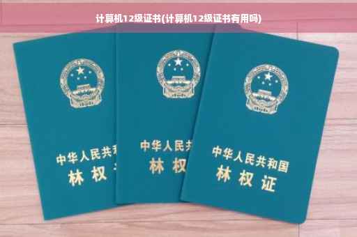计算机12级证书(计算机12级证书有用吗)