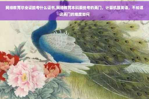 网络教育毕业证能考什么证书,网络教育本科要统考的两门，计算机跟英语，不知道这两门的难度如何