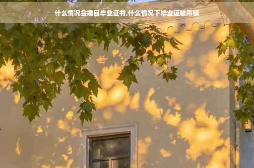 什么情况会撤回毕业证书,什么情况下毕业证被吊销