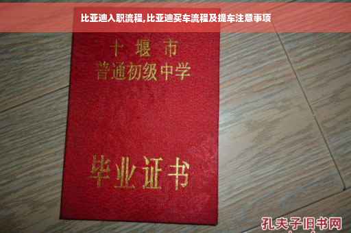 比亚迪入职流程,比亚迪买车流程及提车注意事项