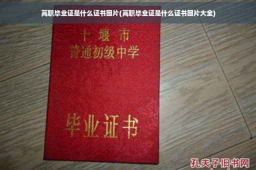 高职毕业证是什么证书图片(高职毕业证是什么证书图片大全)