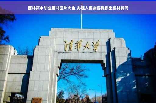 西林高中毕业证书图片大全,办理入编需要提供出编材料吗