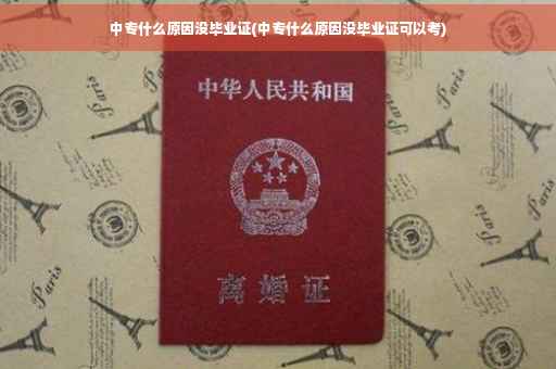 中专什么原因没毕业证(中专什么原因没毕业证可以考)