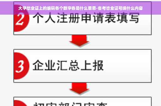 大学毕业证上的编码各个数字各是什么意思-省考毕业证号填什么内容
