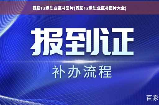 舞蹈12级毕业证书图片(舞蹈12级毕业证书图片大全)