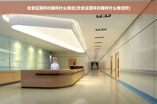 毕业证原件扫描件什么格式(毕业证原件扫描件什么格式好)
