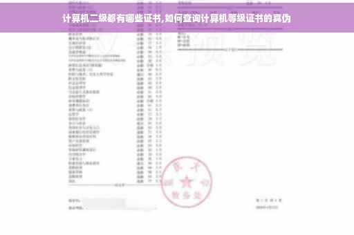 计算机二级都有哪些证书,如何查询计算机等级证书的真伪