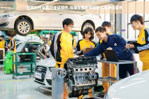 特岗为什么要毕业证原件,应届生报名特岗怎么填学位证书