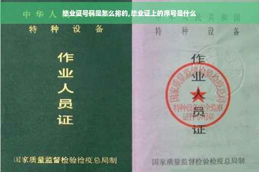 毕业证号码是怎么排的,毕业证上的序号是什么