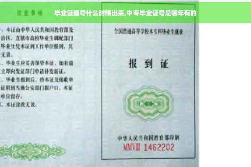 毕业证编号什么时候出来,中专毕业证号是哪年有的