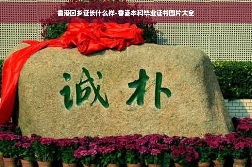 香港回乡证长什么样-香港本科毕业证书图片大全