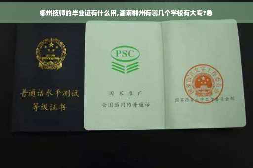 郴州技师的毕业证有什么用,湖南郴州有哪几个学校有大专?急