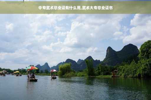 中专武术毕业证有什么用,武术大专毕业证书