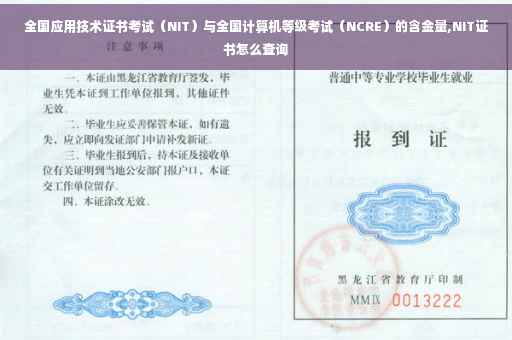全国应用技术证书考试（NIT）与全国计算机等级考试（NCRE）的含金量,NIT证书怎么查询