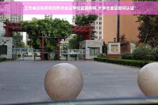工作单位有权利扣押毕业证学位证原件吗,大学毕业证如何认证