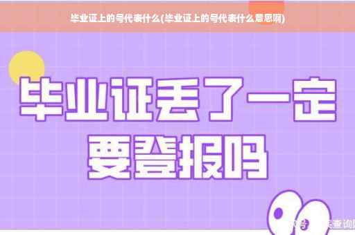 毕业证上的号代表什么(毕业证上的号代表什么意思啊)