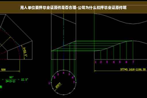 用人单位要押毕业证原件是否合理-公司为什么扣押毕业证原件呢