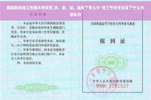 现在到处找工作要大学文凭,毕，业，证，丢失了怎么办-找工作毕业证丢了什么办法补办