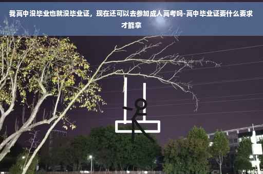 我高中没毕业也就没毕业证，现在还可以去参加成人高考吗-高中毕业证要什么要求才能拿