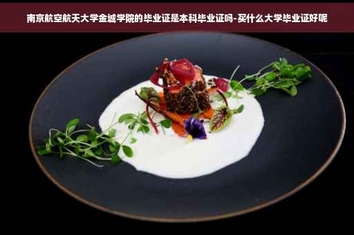 南京航空航天大学金城学院的毕业证是本科毕业证吗-买什么大学毕业证好呢