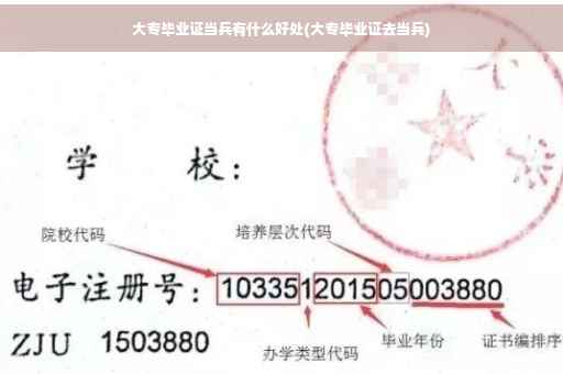 大专毕业证当兵有什么好处(大专毕业证去当兵)