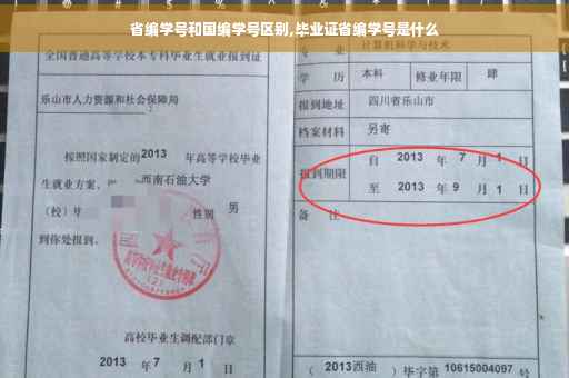 省编学号和国编学号区别,毕业证省编学号是什么