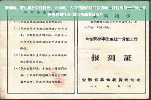 劳动局，劳动和社会保障局，人事局，人力资源和社会保障局，社保局是一个吗，现在统称叫什么-省劳技毕业证图片