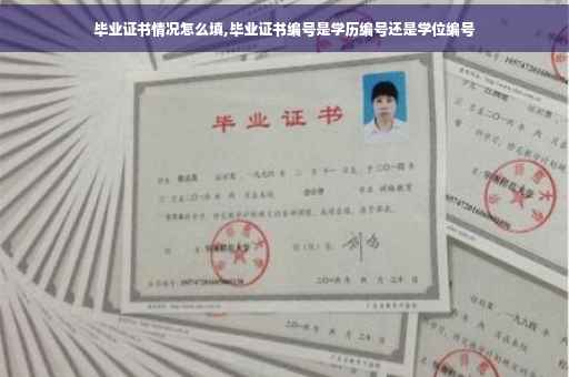 毕业证书情况怎么填,毕业证书编号是学历编号还是学位编号