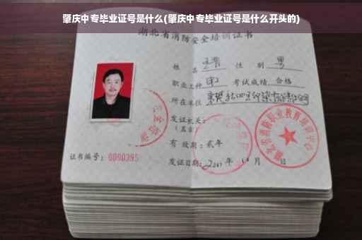 肇庆中专毕业证号是什么(肇庆中专毕业证号是什么开头的)