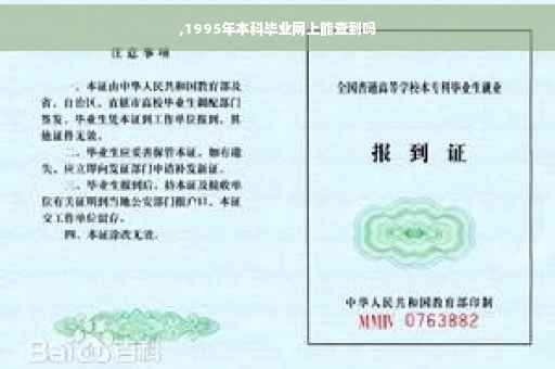 ,1995年本科毕业网上能查到吗