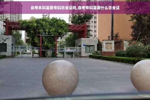 自考本科需要专科毕业证吗,自考专科需要什么毕业证