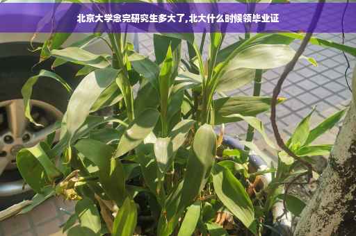 北京大学念完研究生多大了,北大什么时候领毕业证