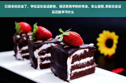 已经本科毕业了，学位证毕业证都有，但还想再学别的专业，怎么报啊,拿到毕业证后还能学习什么