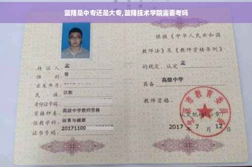 蓝翔是中专还是大专,蓝翔技术学院需要考吗
