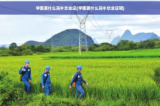 学医要什么高中毕业证(学医要什么高中毕业证呢)