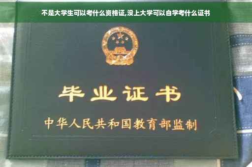 不是大学生可以考什么资格证,没上大学可以自学考什么证书