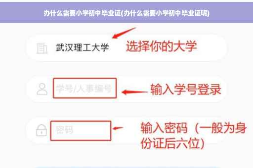 办什么需要小学初中毕业证(办什么需要小学初中毕业证呢)