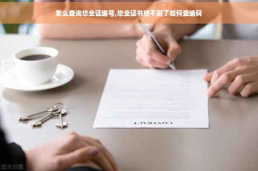 怎么查询毕业证编号,毕业证书找不到了如何查编码