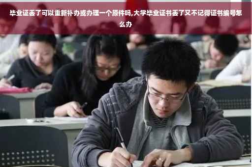 毕业证丢了可以重新补办或办理一个原件吗,大学毕业证书丢了又不记得证书编号怎么办