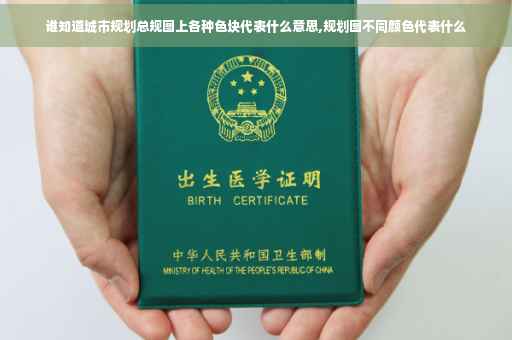 谁知道城市规划总规图上各种色块代表什么意思,规划图不同颜色代表什么