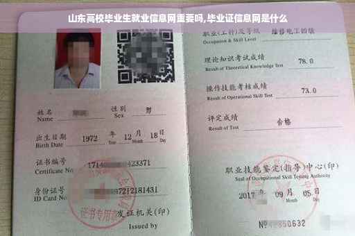 山东高校毕业生就业信息网重要吗,毕业证信息网是什么