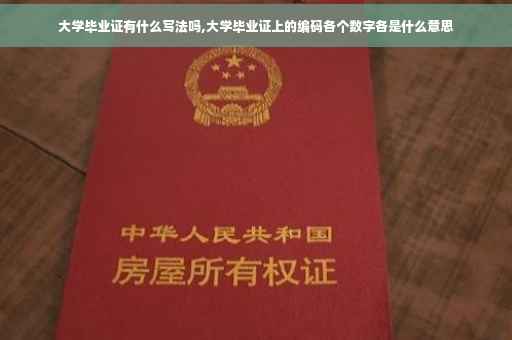 大学毕业证有什么写法吗,大学毕业证上的编码各个数字各是什么意思
