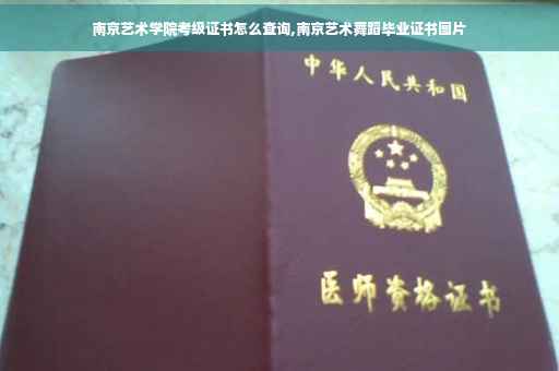 南京艺术学院考级证书怎么查询,南京艺术舞蹈毕业证书图片